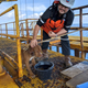 Ilustración para el artículo titulado Una de estas dos teorías explicaría qué demonios hacía un perro nadando a 220 kilómetros de la costa de Tailandia